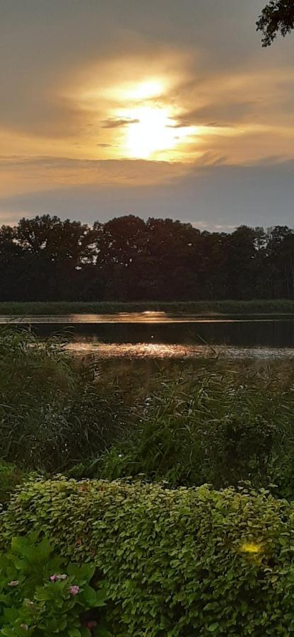 נוירופין Bungalow Idylle Am See מראה חיצוני תמונה