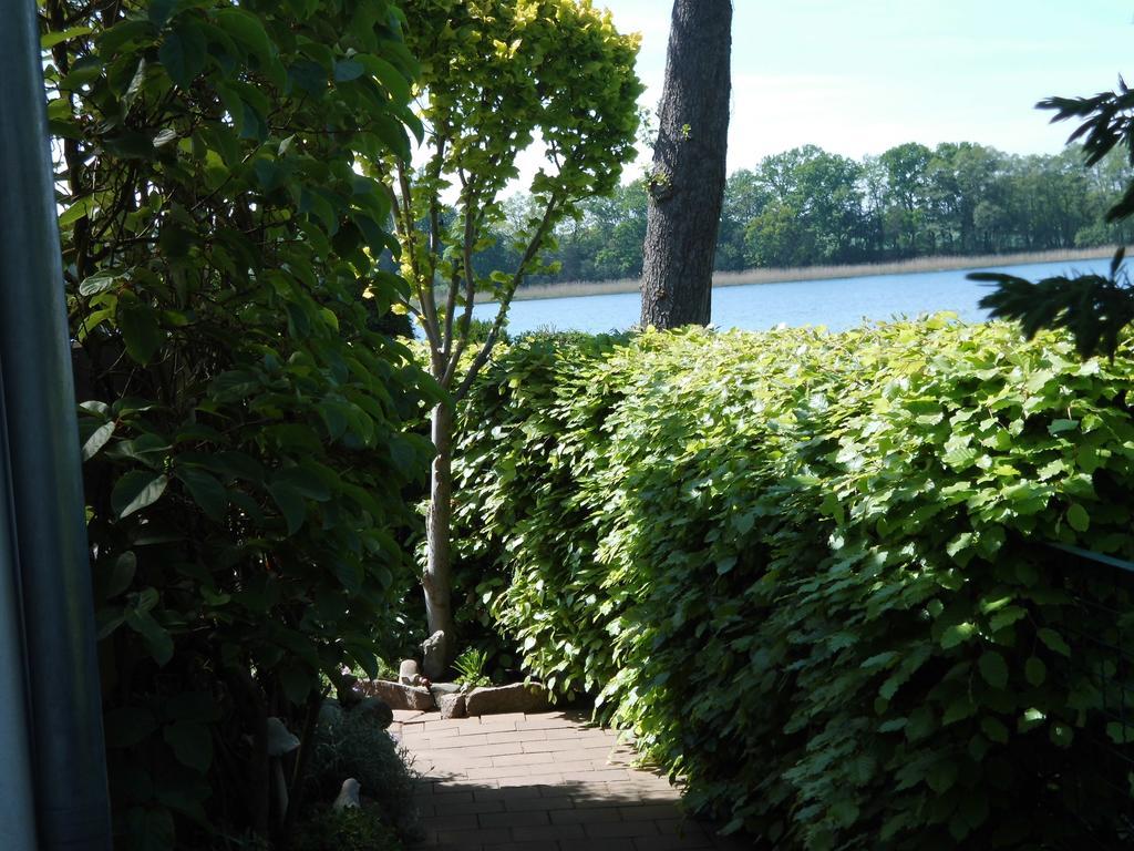 נוירופין Bungalow Idylle Am See מראה חיצוני תמונה