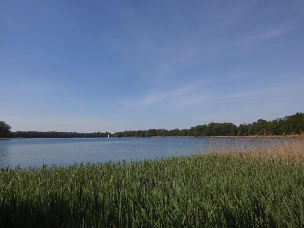 נוירופין Bungalow Idylle Am See מראה חיצוני תמונה