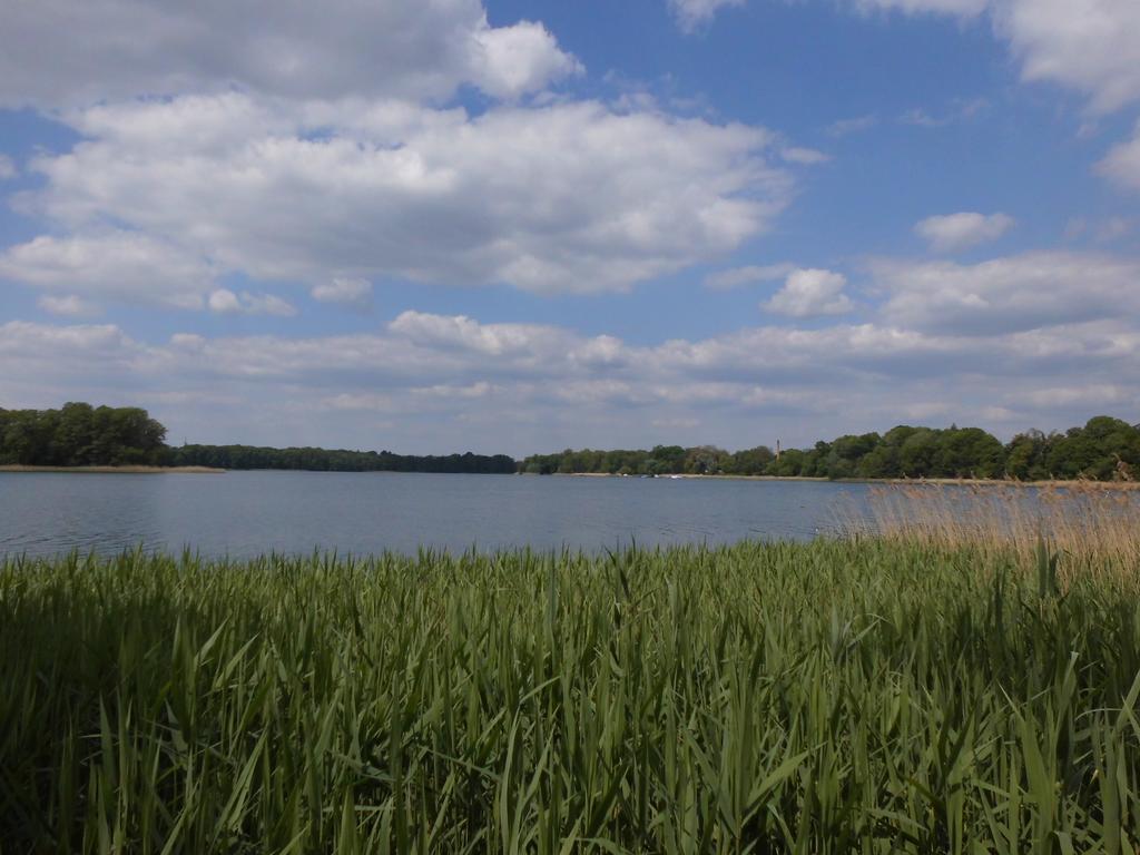 נוירופין Bungalow Idylle Am See מראה חיצוני תמונה