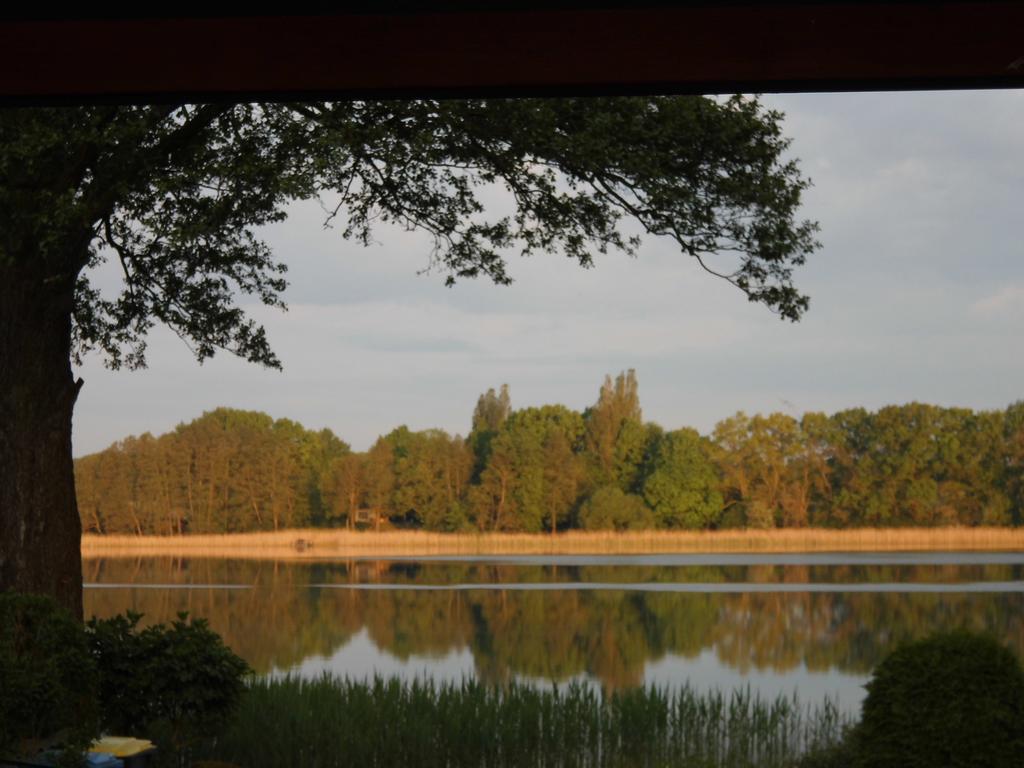 נוירופין Bungalow Idylle Am See מראה חיצוני תמונה